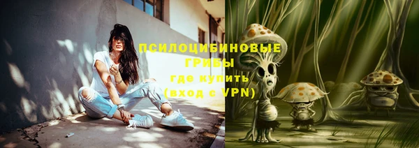 прущие грибы Верея
