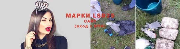 прущие грибы Верея