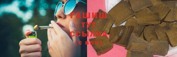 прущие грибы Верея