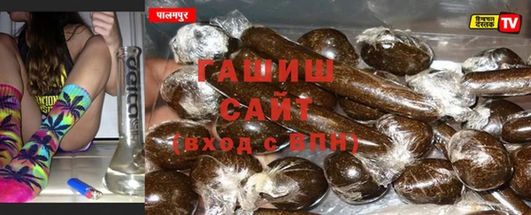 прущие грибы Верея