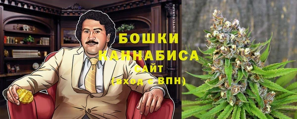 ПСИЛОЦИБИНОВЫЕ ГРИБЫ Верхний Тагил