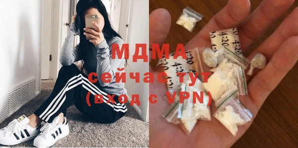 прущие грибы Верея