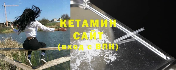 прущие грибы Верея