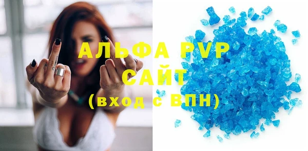 прущие грибы Верея