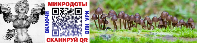 как найти закладки  Воркута  Галлюциногенные грибы прущие грибы 